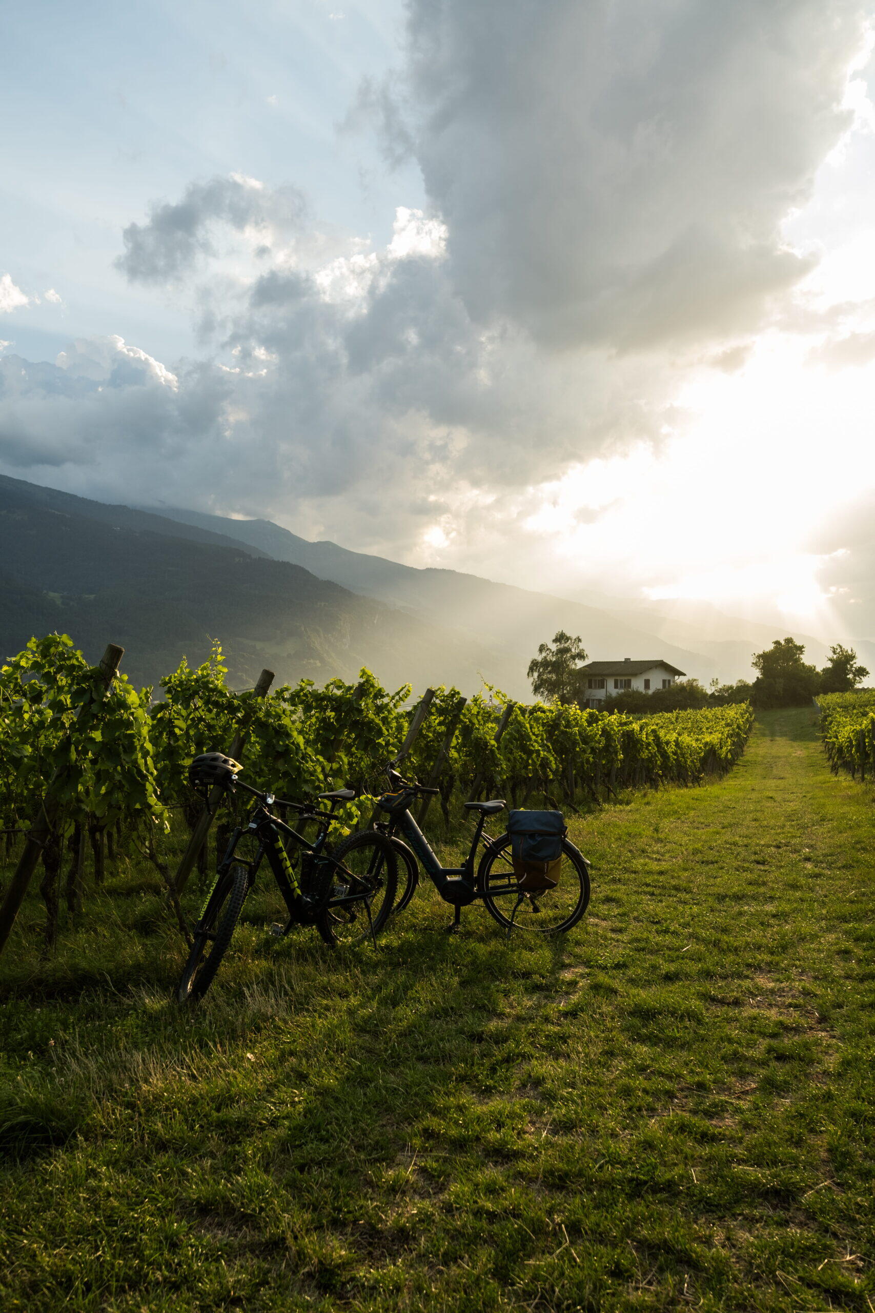 Rheinwelten Commercial